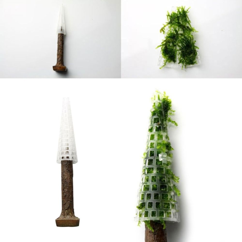 Aquarium Planted Background - Simulation Christmas Tree Aquarium Moss Plants
