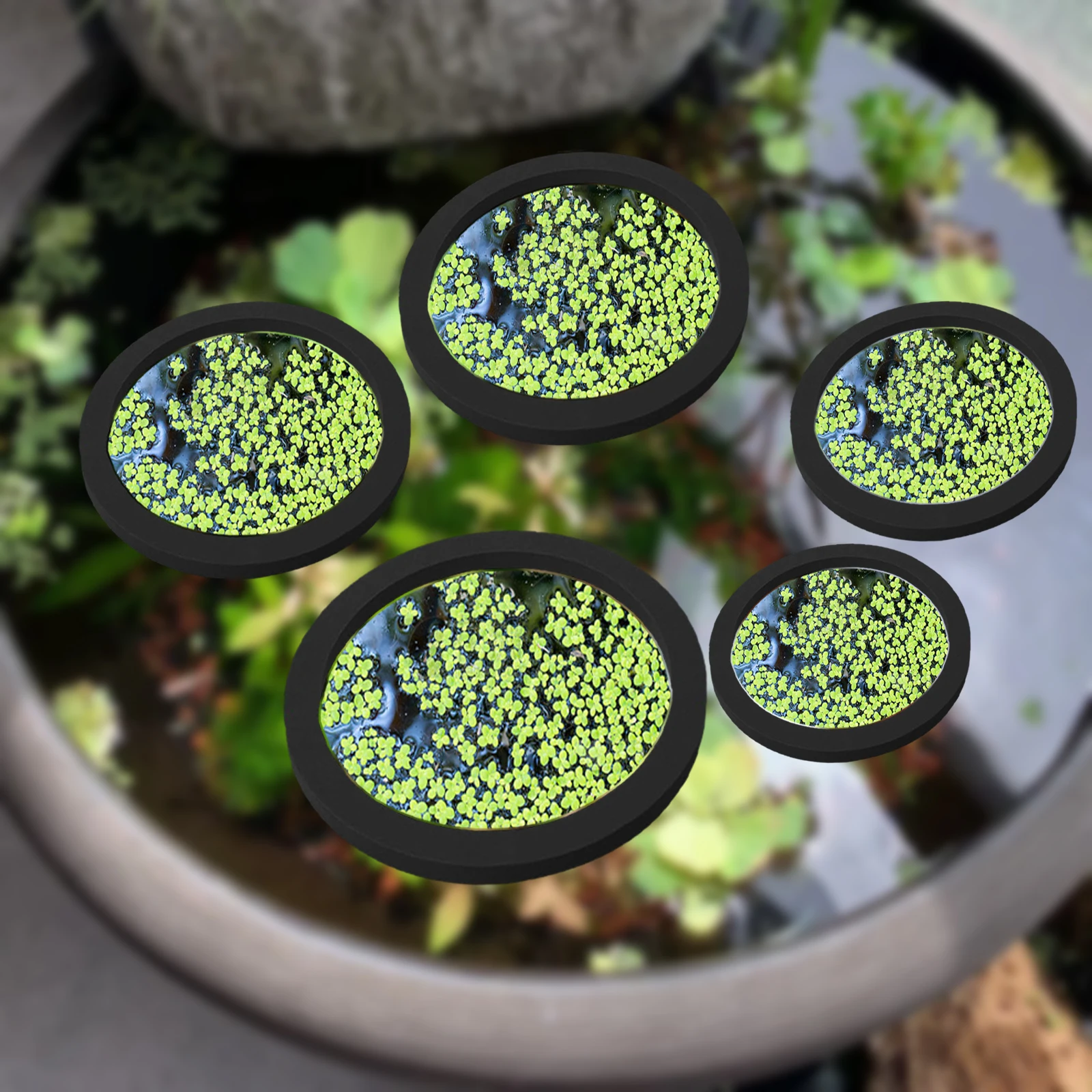 Planted Aquarium Equipment - 5Pcs EVA Fish Feeding Ring Aquarium