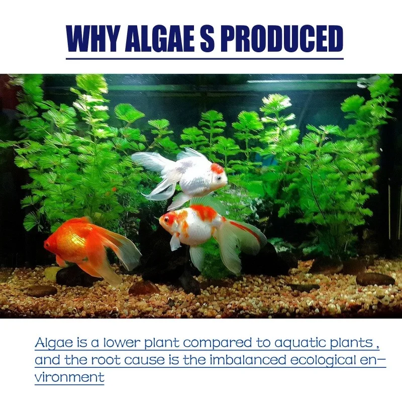 50g High Efficiency Algaecide  - огляд і ціна Planted Aquarium Equipment