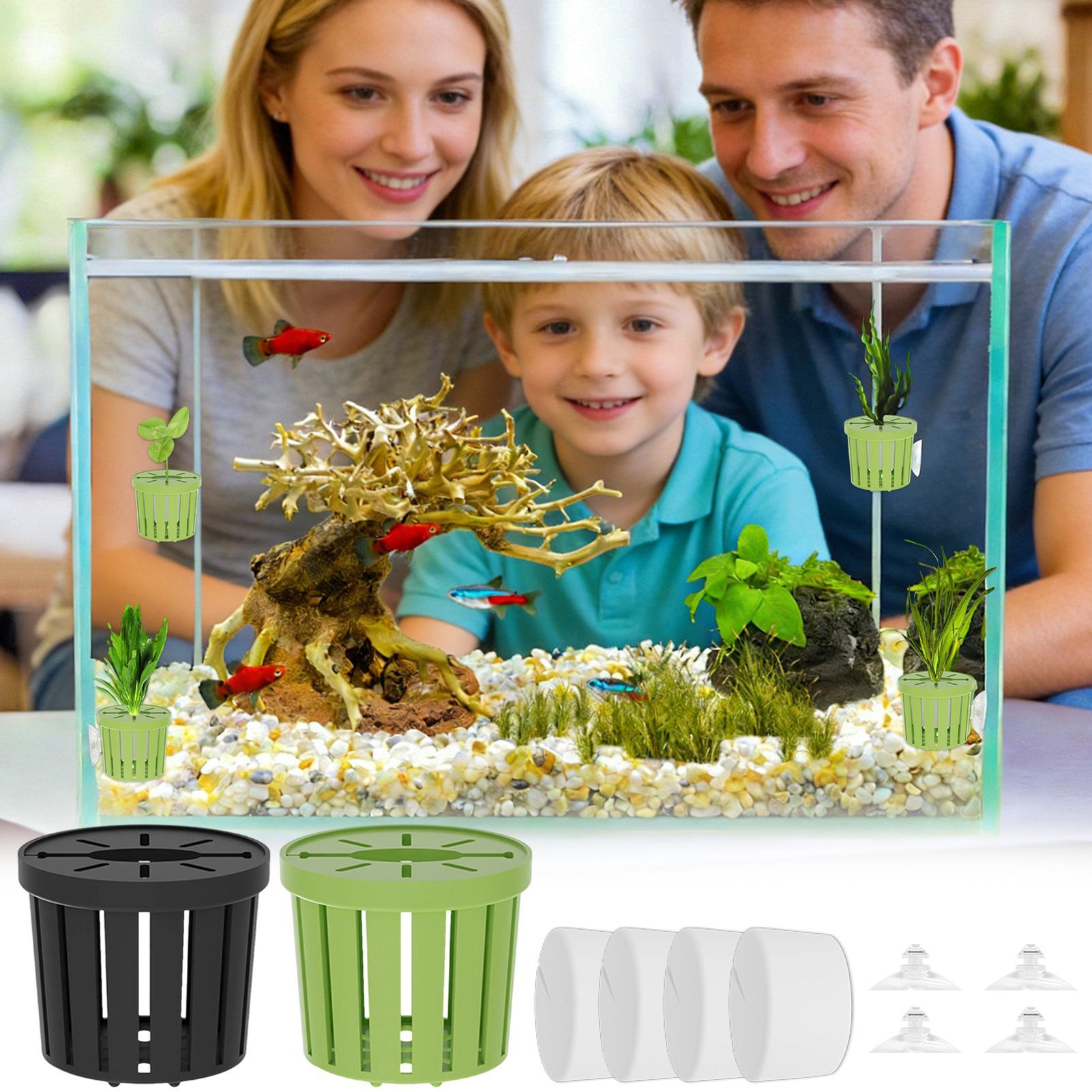 4 Pieces Hydroponic Plant Bask - огляд і ціна Aquarium Planted Background