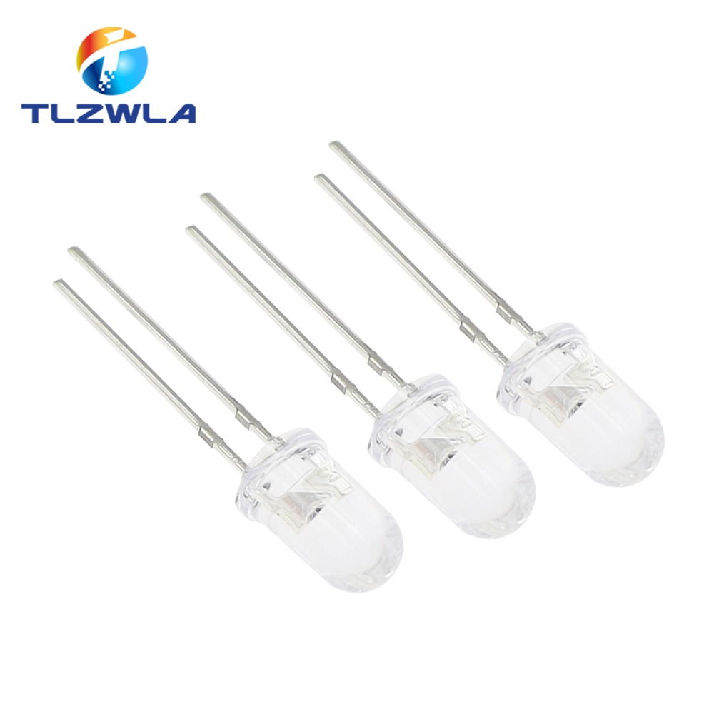 100PCS Transparent Round 5MM S - огляд і ціна Ludwigia Super Red