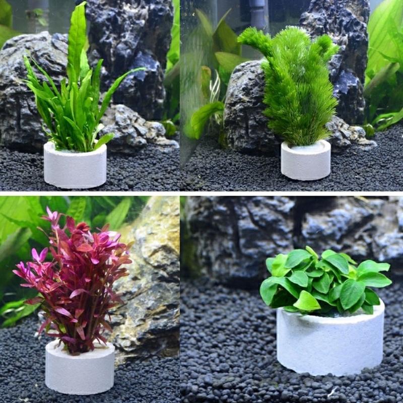 37ME Ceramic Aquarium Plant Ri - огляд і ціна Aquarium Planted Background