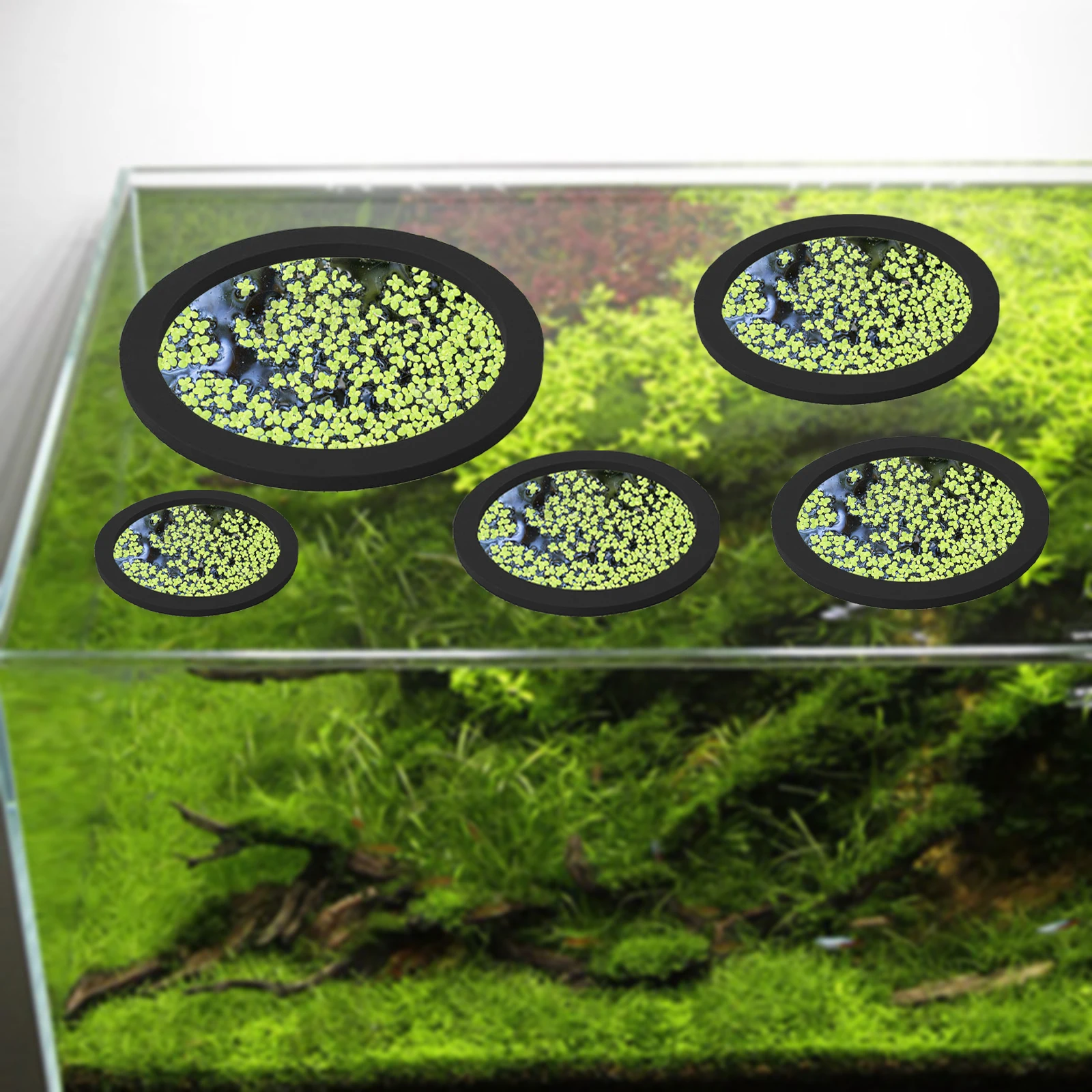 5Pcs EVA Fish Feeding Ring Aqu - огляд і ціна Planted Aquarium Equipment