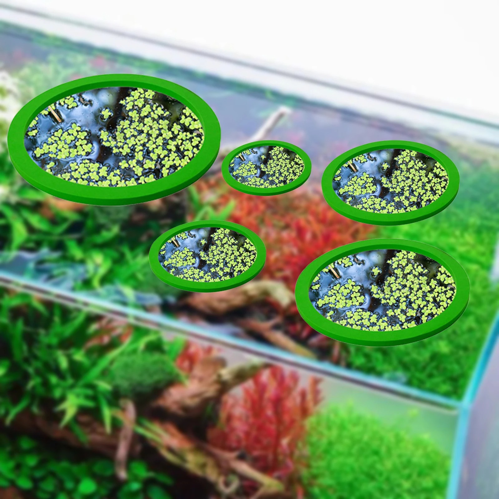 5Pcs EVA Fish Feeding Ring Aqu - огляд і ціна Planted Aquarium Equipment