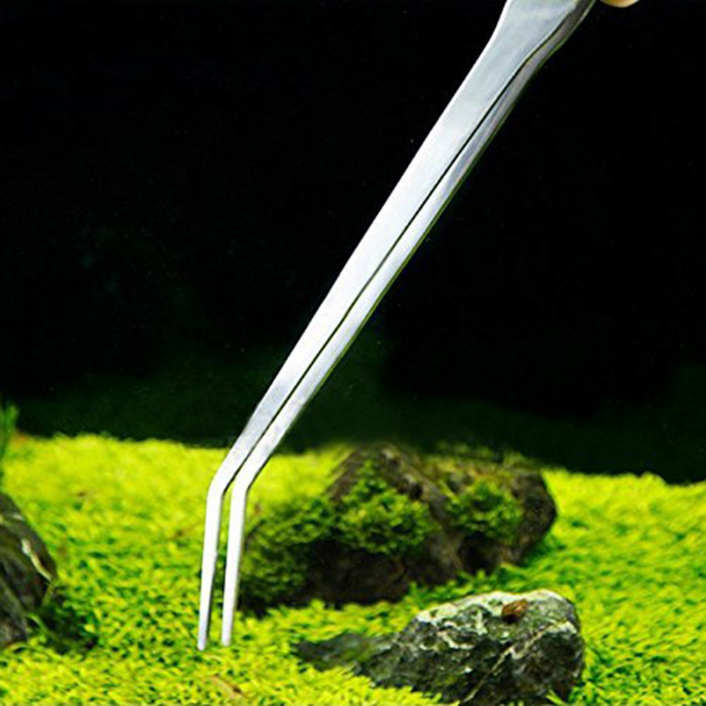 38Cm Stainless Steel Curved Tw - огляд і ціна Planted Aquarium Carpet Plant