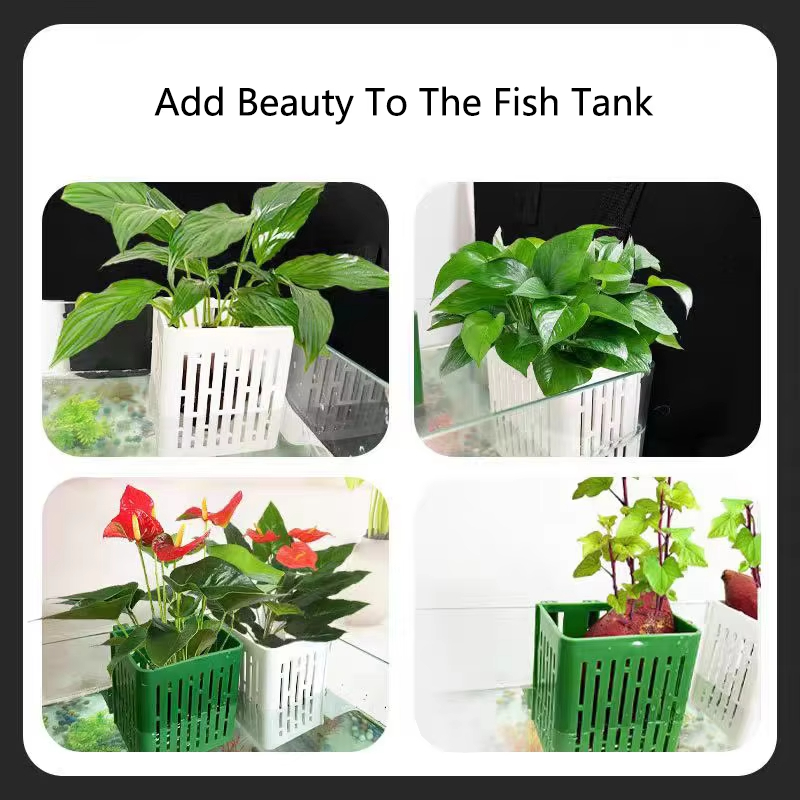 1Pc Water Plant Landscape Fish - огляд і ціна Aquarium Planted Background