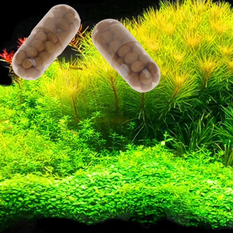 QX2E Aquarium Live Plant Ferti - огляд і ціна Aquarium Plant Root Fertilizer